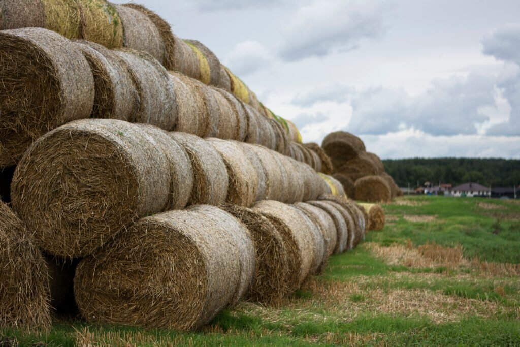 Stacked round hay bales in a green countryside field
