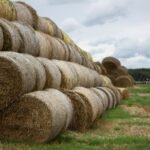 Stacked round hay bales in a green countryside field
