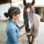 Topline Animal Services and Rehab