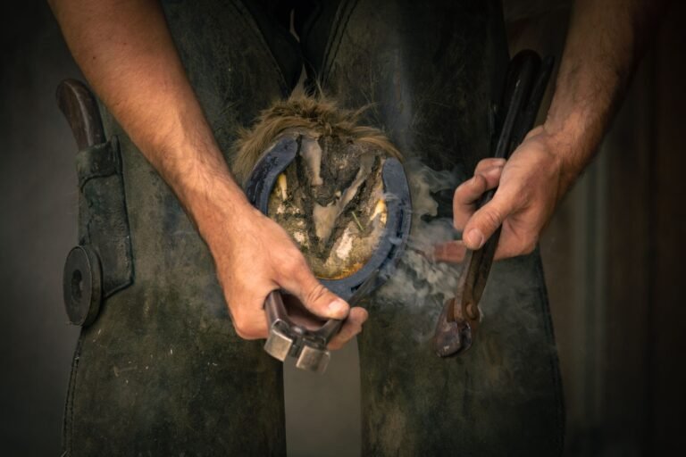A farrier fitting a horseshoe to a horse hoof using hand tools