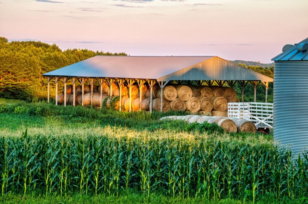 Hay bales in a Minnesota farm field at sunset