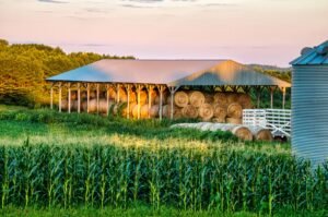 How to Choose a Feed & Hay Supplier