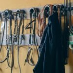 Saddles, bridles and other horse tack hanging in a stable