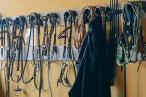 How to Choose a Tack & Supply Store