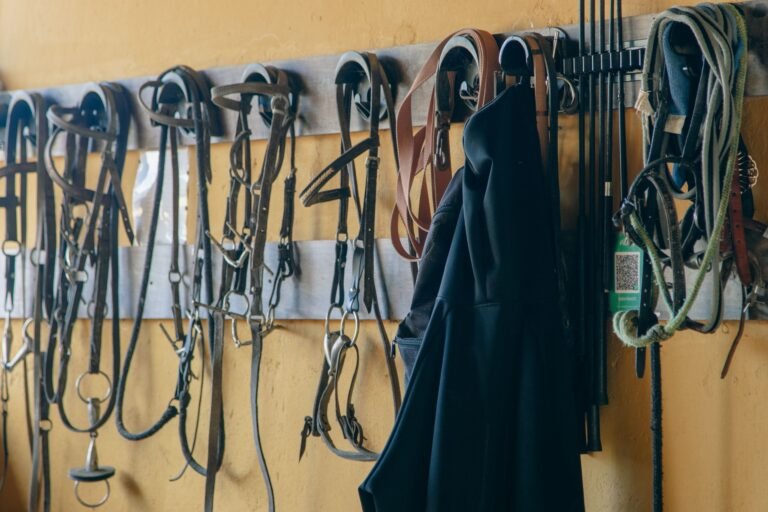 Saddles, bridles and other horse tack hanging in a stable