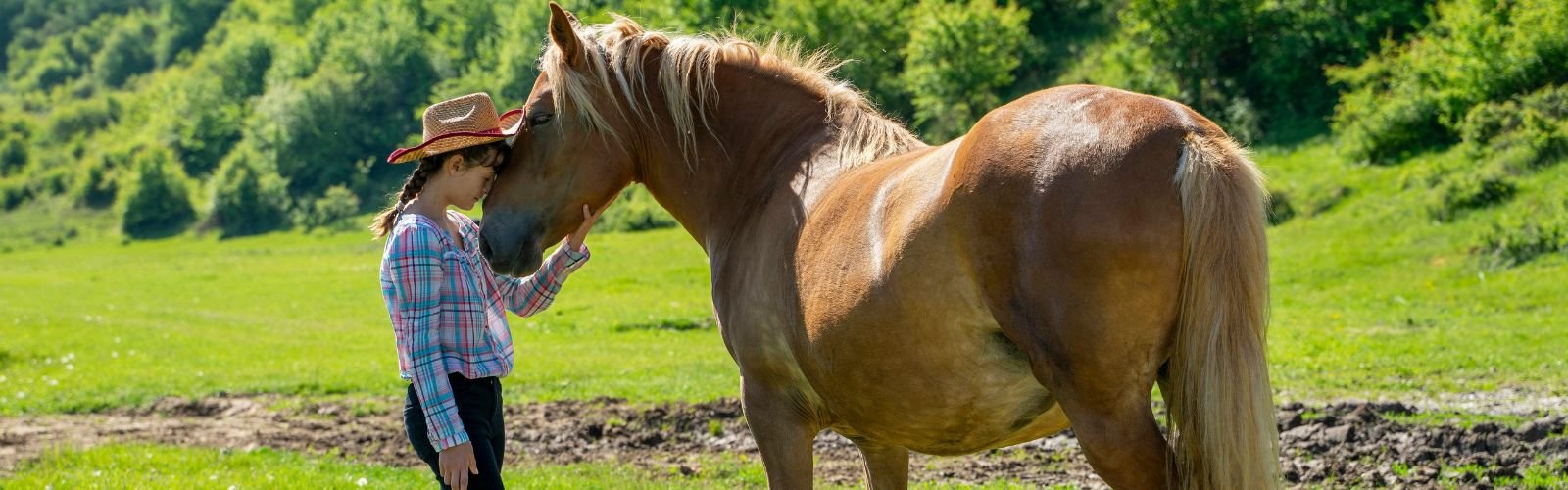 Wide lifestyle shot: a horse and owner together outdoors, warm natural light