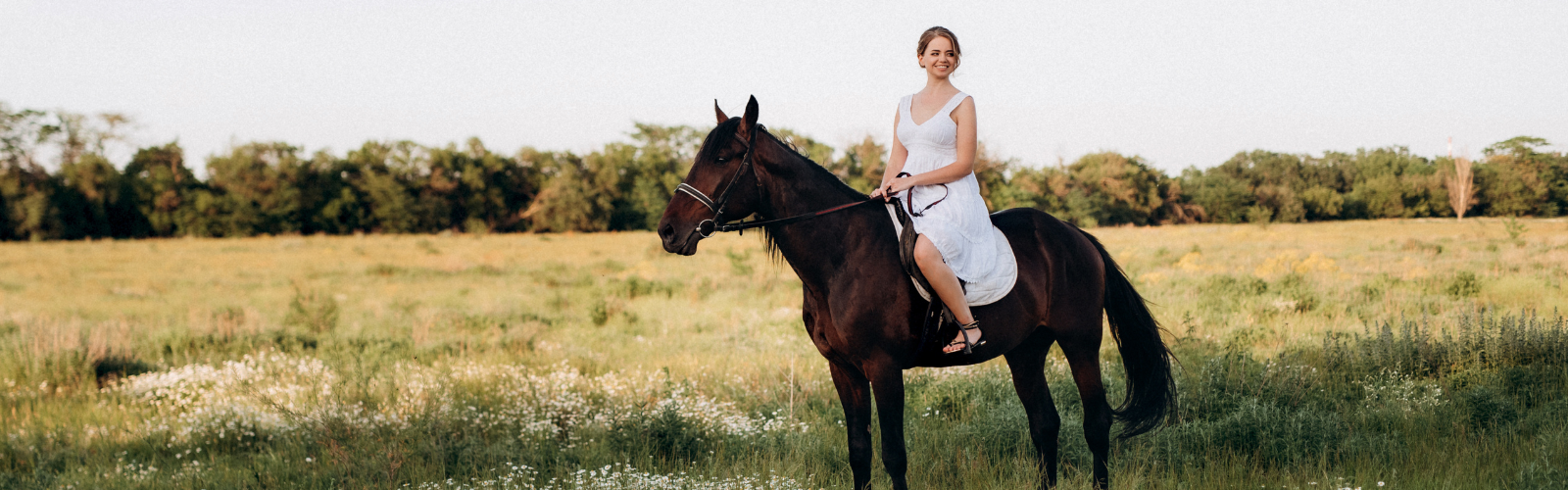 Wide lifestyle shot: a horse and owner together outdoors, warm natural light