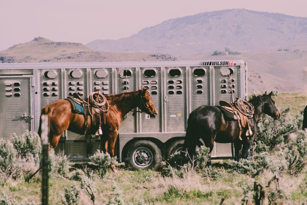 Two saddled horses beside a livestock trailer in a rural mountainous landscape