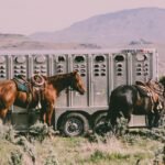 Two saddled horses beside a livestock trailer in a rural mountainous landscape