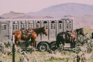 Hauling Your Horse Safely: A Pre-Trip Checklist