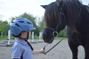 Best Horse Breeds for Beginners (and Why Temperament Matters More)