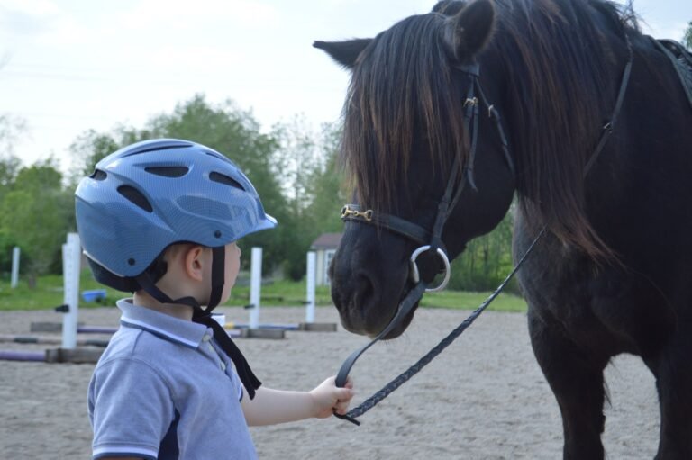 A child in a riding helmet leading a horse at a ranch