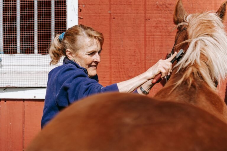 An older woman grooming a horse in front of a red stable