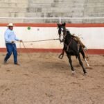 A cowboy training a horse in an outdoor arena