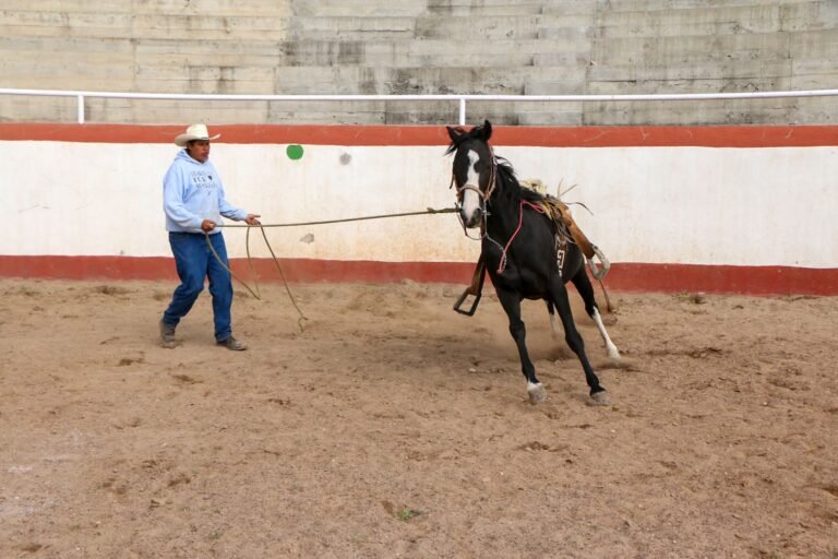 A cowboy training a horse in an outdoor arena