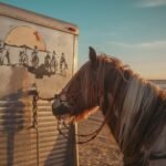 A horse tethered beside a trailer at sunset