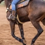 Close-up of a rider mounted on a horse in a sandy outdoor arena