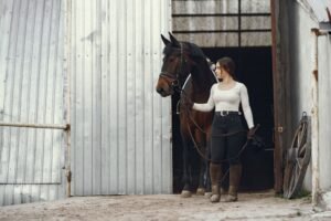 How Often Should Your Horse Be Shod or Trimmed?