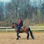 A rider working a brown horse in an outdoor arena