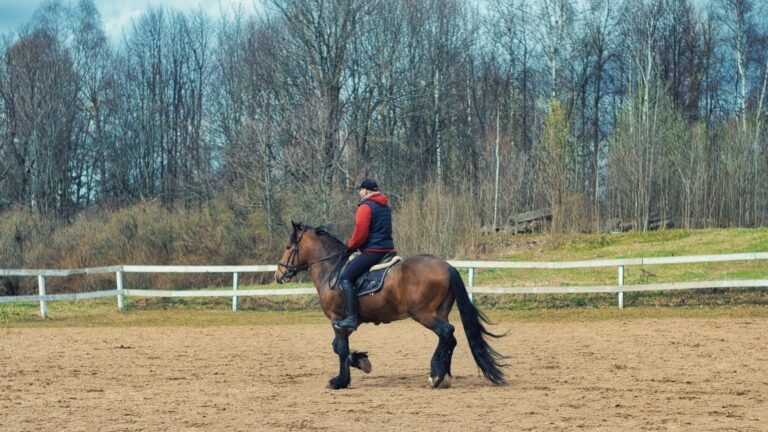 A rider working a brown horse in an outdoor arena