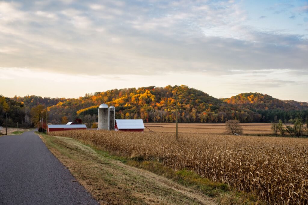 A farm with silos surrounded by autumn foliage