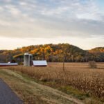 A farm with silos surrounded by autumn foliage