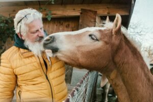 New Horse Owner Checklist: Your First 30 Days