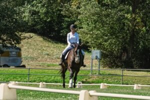 Starting Riding Lessons: What Beginners Should Know